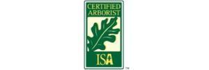 ISA Member Logo