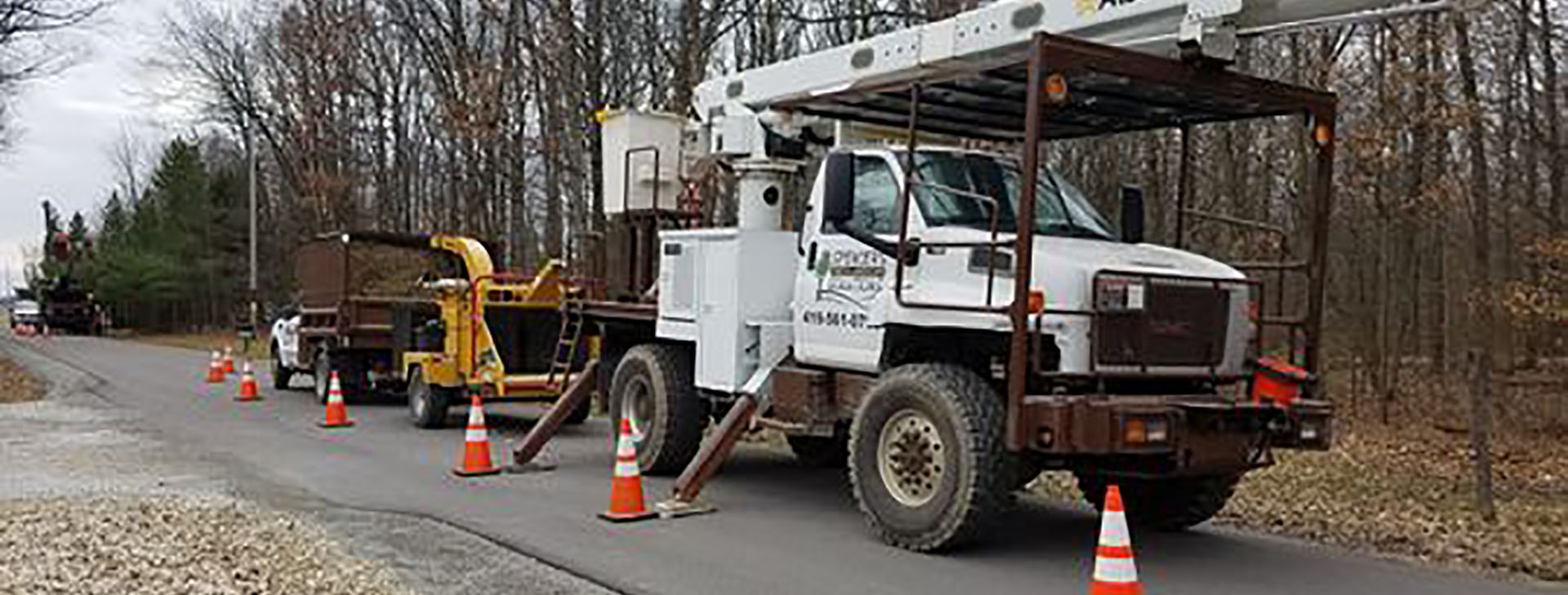 tree service galion ohio