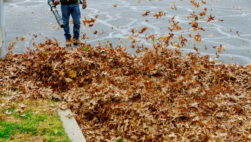 man removing leaves in bucyrus, oh
